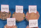 Frankincense, Natural Gum Production in Ethiopia's Amhara Region