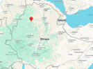 Amhara Region's Pulses, Oilseeds, Coffee Generate $726 Million