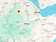 Amhara Region's Pulses, Oilseeds, Coffee Generate $726 Million