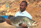 Ethiopia Commences Fish Production Using Artificial Lake from Aby River