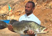 Ethiopia Commences Fish Production Using Artificial Lake from Aby River