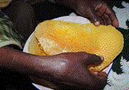 Honey Production in Ankober District of Ethiopia Growing